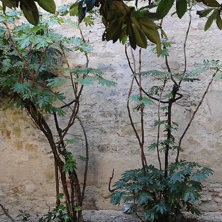 Residenza Branca Della Ripa Apartman