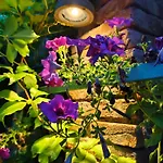 Residenza Branca Della Ripa 피렌체