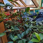 아파트 Residenza Branca Della Ripa *