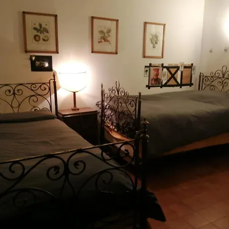 Residenza Branca Della Ripa Florence
